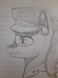 Size: 3000x4000 | Tagged: safe, artist:mrscroup, artist:mustaphatr, imported from derpibooru, golden delicious, pony, equestria at war mod, apple, apple family member, clothes, food, hammer and sickle, hat, lined paper, solo, traditional art