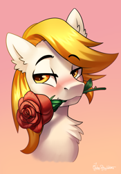 Size: 2000x2852 | Tagged: safe, artist:jedayskayvoker, imported from derpibooru, oc, oc only, oc:sparklingfire, pony, blushing, bust, cute, flower, gradient background, high res, icon, looking at you, male, portrait, rose, solo, stallion