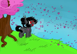 Size: 1024x724 | Tagged: safe, artist:fantaslily32, imported from derpibooru, oc, oc:ebony darkness, cherry blossoms, commission, flower, flower blossom