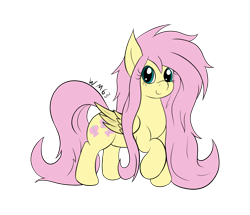 Size: 2249x1937 | Tagged: safe, artist:wapamario63, imported from ponybooru, fluttershy, pegasus, pony, colored, cute, female, flat colors, long mane, looking at you, mare, shyabetes, simple background, solo, transparent background, wings