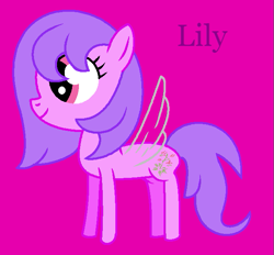 Size: 653x605 | Tagged: safe, artist:seanthedragonpony, lily (g1), flutter pony, pony, female, g1, g1 to g4, g4, generation leap, magenta background, mare, purple text, simple background