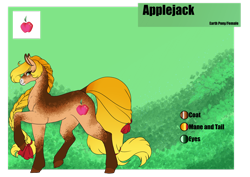 Size: 1920x1358 | Tagged: safe, artist:oneiria-fylakas, imported from derpibooru, applejack, pony, alternate design, reference sheet, solo