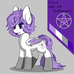 Size: 4000x4000 | Tagged: safe, artist:alistair504, imported from derpibooru, oc, oc:silvi francele, bat pony, bat pony oc, bat wings, reference sheet, wings