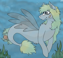 Size: 1024x953 | Tagged: safe, artist:cupidity4200, imported from derpibooru, oc, oc only, merpony, pegasus, pony, seapony (g4), bandaid, bubble, dorsal fin, fin wings, fish tail, flowing tail, gray eyes, ocean, plaster, seaponified, seaweed, smiling, solo, species swap, swimming, tail, underwater, water, wings, yellow mane