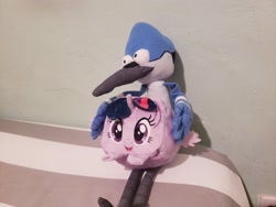 Size: 2880x2160 | Tagged: safe, imported from derpibooru, twilight sparkle, alicorn, box pony, crossover, crossover shipping, cubd, cube plush, female, high res, male, merchandise, mordecai, mordetwi, plushie, regular show, shipping, straight, twilight sparkle (alicorn)