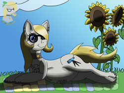 Size: 1600x1200 | Tagged: safe, artist:gray star, derpibooru exclusive, imported from derpibooru, oc, oc:gray star, choker, female, flower, glasses, happy, mare, pregnant, sunflower