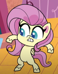 Size: 366x468 | Tagged: safe, imported from derpibooru, screencap, fluttershy, pegasus, pony, my little pony: pony life, unboxing day, bipedal, cropped, female, g4.5, pony life, solo, surprised