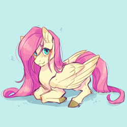 Size: 1280x1280 | Tagged: safe, artist:kittenfacecat, imported from derpibooru, fluttershy, pegasus, pony, blushing, colored hooves, female, folded wings, heart, looking at you, lying down, mare, prone, simple background, smiling, solo, stray strand, three quarter view, wings