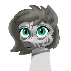 Size: 1000x1000 | Tagged: safe, artist:trotski432, artist:vezja, imported from derpibooru, oc, zebra, bust, female, mare, portrait, simple background, transparent background