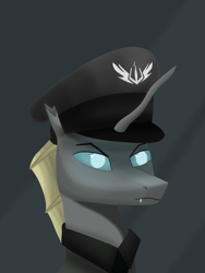 Size: 1000x1333 | Tagged: safe, artist:trotski432, artist:vezja, imported from derpibooru, oc, oc:dieter heinreich, changeling, equestria at war mod, abstract background, angry, bust, clothes, hat, male, portrait, uniform