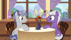 Size: 1920x1080 | Tagged: safe, imported from derpibooru, screencap, silver script, star bright, pegasus, pony, unicorn, season 7, triple threat, curtains, duo, flower, flower vase, folded wings, gay, looking at each other, male, shipping, sink, sitting, stallion, starscript, table, window, wings