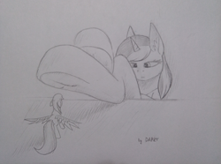 Size: 4162x3102 | Tagged: safe, artist:darky_wings, imported from derpibooru, oc, oc only, oc:chrystal, oc:darky wings, pegasus, unicorn, fetish, hoof fetish, macro, micro, traditional art, wings, wings down