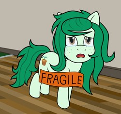 Size: 1132x1066 | Tagged: safe, artist:scraggleman, imported from derpibooru, wallflower blush, earth pony, pony, crying, equestria girls ponified, freckles, meme, ponified, ponified animal photo, ponified meme, sad, solo, sticker