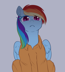 Size: 1280x1422 | Tagged: safe, artist:ghoasthead, imported from derpibooru, rainbow dash, pegasus, pony, :<, clothes, prison outfit, prisoner rd, solo