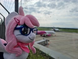 Size: 4032x3024 | Tagged: safe, artist:xeto_de, imported from derpibooru, oc, oc:sugar feather, pegasus, pony, airport, plushie