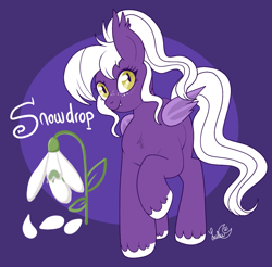 Size: 1117x1099 | Tagged: safe, artist:lulubell, imported from derpibooru, oc, oc only, oc:snowdrop, oc:snowdrop (lulubell), bat pony, pony, female, solo