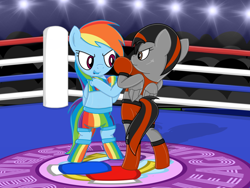 Size: 1600x1200 | Tagged: safe, artist:toyminator900, imported from derpibooru, rainbow dash, oc, oc:dusk strike, pegasus, pony, bipedal, boots, boxing, boxing gloves, boxing ring, clothes, duo, duo female, female, mare, shoes, sports