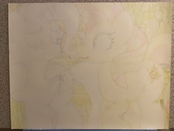 Size: 4032x3024 | Tagged: safe, artist:thor-disciple, sunset shimmer, trixie, pony, unicorn, looking at each other, smiling, swamp, talking