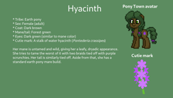 Size: 1600x900 | Tagged: safe, artist:hawthornbunny, imported from derpibooru, oc, oc only, oc:hyacinth, earth pony, pony, pony town, female, green background, mare, reference sheet, simple background, solo, text