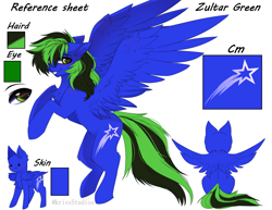 Size: 4391x3383 | Tagged: safe, artist:krissstudios, imported from derpibooru, oc, oc only, oc:zultar green, pegasus, pony, male, reference sheet, solo, stallion