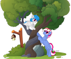 Size: 3190x2655 | Tagged: safe, artist:kawaiizhele, imported from derpibooru, oc, oc:gentle winds, oc:steam loco, pegasus, pony, bird house, commission, cute, folded wings, goggles, high res, intertwined trees, oc x oc, pegasus oc, rock, shipping, simple background, standing, transparent background, tree, wings, ych result