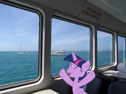 Size: 2800x2100 | Tagged: safe, artist:mlplover94, artist:sonofaskywalker, imported from derpibooru, twilight sparkle, alicorn, pony, ^^, cute, eyes closed, female, ferry, florida, high res, irl, mare, photo, ponies in real life, solo, twiabetes, twilight sparkle (alicorn)