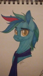 Size: 720x1280 | Tagged: safe, artist:donnie-moon, imported from derpibooru, oc, oc only, earth pony, pony, earth pony oc, necktie, solo, traditional art