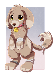 Size: 1280x1762 | Tagged: safe, artist:pridark, imported from derpibooru, oc, oc only, oc:cinnamon (dog), diamond dog, fallout equestria, bandage, dirty, slave, slave collar, solo