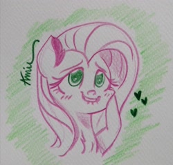 Size: 2754x2636 | Tagged: safe, artist:c.a.m.e.l.l.i.a, imported from derpibooru, fluttershy, pony, green background, high res, plushie, simple background, solo, traditional art