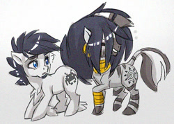 Size: 500x358 | Tagged: safe, artist:thegamercolt, imported from derpibooru, zecora, oc, oc:thegamercolt, earth pony, pony, zebra, big tail, confused, cutie mark, hoof fluff, silly, wig