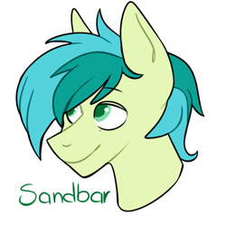 Size: 1000x1000 | Tagged: safe, artist:dymitre, imported from derpibooru, sandbar, earth pony, pony, bust, colt, male, simple background, smiling, solo, teenager, white background