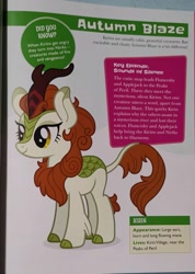Size: 1984x2792 | Tagged: safe, imported from derpibooru, autumn blaze, kirin, my little pony character guide, text