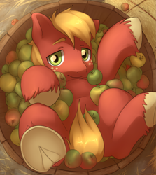 Size: 3589x4015 | Tagged: safe, artist:aquoquoo, imported from derpibooru, big macintosh, earth pony, pony, apple, bucket, cute, food, freckles, frog (hoof), high res, looking at you, macabetes, male, overhead view, solo, stallion, underhoof, unshorn fetlocks