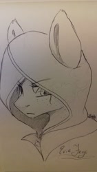 Size: 1836x3264 | Tagged: safe, artist:artfestation, imported from derpibooru, earth pony, pony, assassin's creed, bust, female, hood, lineart, mare, ponified, solo, traditional art