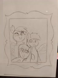 Size: 3076x4096 | Tagged: safe, artist:taurson, imported from derpibooru, oc, oc only, bat pony, earth pony, griffon, pony, bat pony oc, bat wings, commission, everfree northwest, everfree northwest 2021, female, male, mare, pencil drawing, picture frame, stallion, traditional art, trio, wings
