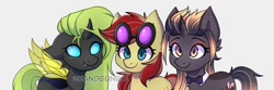 Size: 1500x500 | Tagged: safe, artist:handgunboi, imported from derpibooru, oc, changeling, earth pony, unicorn, changeling oc, commission, earth pony oc, horn, unicorn oc