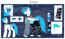 Size: 3000x1772 | Tagged: safe, artist:sparkie45, imported from derpibooru, oc, oc:jona, pegasus, pony, choker, clothes, hoodie, male, reference sheet, solo, spiked choker, stallion