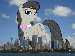 Size: 1632x1224 | Tagged: safe, artist:kooner-cz, artist:thegiantponyfan, imported from derpibooru, octavia melody, earth pony, pony, australia, female, giant octavia melody, giant pony, giant/macro earth pony, giantess, highrise ponies, irl, macro, mare, photo, ponies in real life, sydney