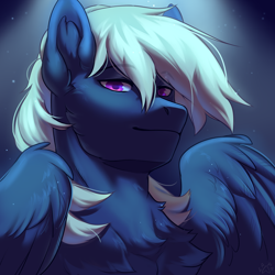 Size: 2300x2300 | Tagged: safe, artist:alkatoster, artist:jedayskayvoker, imported from derpibooru, oc, oc only, oc:moon shield, pegasus, pony, bust, high res, male, solo, stallion