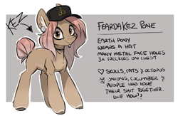 Size: 819x533 | Tagged: safe, artist:kez, imported from derpibooru, oc, oc only, earth pony, pony, reference sheet, solo