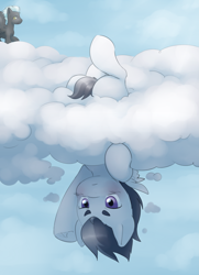 Size: 3629x5000 | Tagged: safe, artist:aquoquoo, imported from derpibooru, rumble, thunderlane, pegasus, pony, absurd resolution, blushing, brothers, cloud, colt, duo, duo male, high res, male, on a cloud, siblings, solo focus, stallion, stuck, stuck in a cloud, upside down