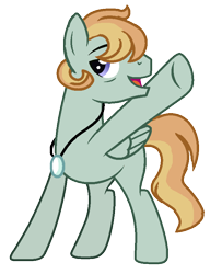 Size: 628x816 | Tagged: safe, artist:princess-kitsune-tsu, artist:venomous-cookietwt, imported from derpibooru, oc, oc only, pegasus, pony, base used, male, simple background, solo, stallion, transparent background