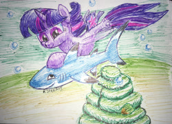 Size: 2136x1535 | Tagged: safe, artist:stewart501st, imported from derpibooru, twilight sparkle, alicorn, pony, seapony (g4), shark, my little pony: the movie, bubble, dorsal fin, female, fin wings, fish tail, flowing mane, flowing tail, horn, ocean, purple eyes, seaponified, seapony twilight, seashell, simple background, smiling, solo, species swap, swimming, tail, traditional art, twilight sparkle (alicorn), underwater, water, white background, wings