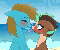 Size: 3000x2500 | Tagged: safe, artist:wew11, imported from derpibooru, oc, oc only, oc:carbon, oc:sagebrush, earth pony, pegasus, pony, beach, blue eyes, blushing, boop, brown mane, brush, coat markings, colored wings, couple, cute, dating, day, earth pony oc, eyelashes, eyes closed, eyes open, gay, green eyes, heart, high res, hooves, male, multicolored hair, multicolored mane, multicolored tail, multicolored wings, noseboop, ocean, pegasus oc, pinto, shading, shipping, sky, smiling, stallion, transgender, wings