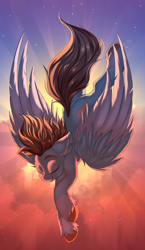 Size: 1654x2850 | Tagged: safe, artist:ask-colorsound, imported from derpibooru, oc, oc only, oc:carbon, pegasus, pony, blue eyes, brown mane, colored wings, eyes closed, falling, male, multicolored wings, pegasus oc, shading, sky, solo, spread wings, stallion, sun, unshorn fetlocks, wings