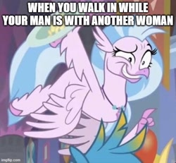 Size: 519x480 | Tagged: safe, edit, edited screencap, imported from derpibooru, screencap, gallus, silverstream, hippogriff, season 9, she's all yak, spoiler:s09, caption, cropped, faic, female, gallstream, image macro, implied sex, infidelity, male, offscreen character, out of context, shipping, straight, text, you look so weird