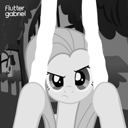 Size: 2000x2000 | Tagged: safe, artist:daringdashie, artist:grapefruit-face, imported from derpibooru, fluttershy, pegasus, pony, album cover, base used, black and white, fluttershy's cottage, grayscale, high res, looking at you, monochrome, peter gabriel, ponified, ponified album cover, scratching, show accurate, solo