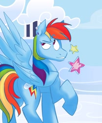 Size: 1000x1200 | Tagged: safe, artist:klhpyro, artist:pinchesdibujos, imported from derpibooru, rainbow dash, pegasus, pony, backwards cutie mark, looking back, solo, vulgar description