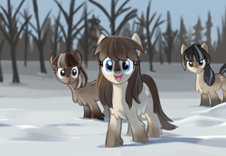 Size: 968x665 | Tagged: safe, artist:marbo, deleted from derpibooru, oc, oc only, oc:cold shoulder, oc:frosty flakes, oc:winter wonder, earth pony, pony, /mlp/, blue eyes, brown coat, brown mane, coat markings, cute, drawthread, featured image, female, fluffy, looking at you, mare, open mouth, open smile, ponified, ponified animal photo, requested art, smiling, snow, snowpony (species), taiga pony, yakutian horse