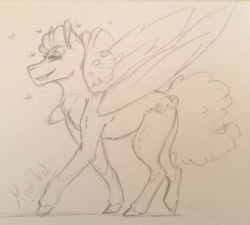 Size: 668x600 | Tagged: safe, artist:artfestation, imported from derpibooru, oc, oc only, oc:sky dancer, pegasus, pony, female, grin, lineart, mare, pegasus oc, smiling, traditional art, wings